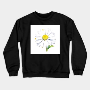 January 1 Daisy Day B - Watercolors & Pen Crewneck Sweatshirt